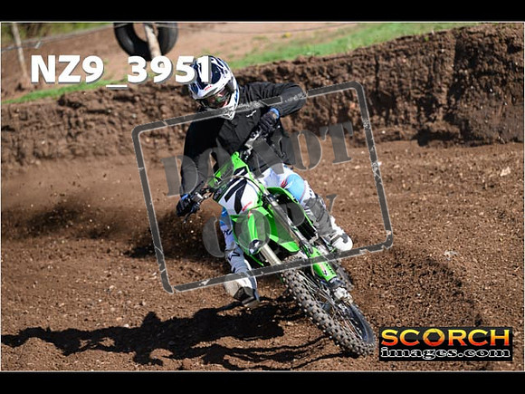 Experts-133