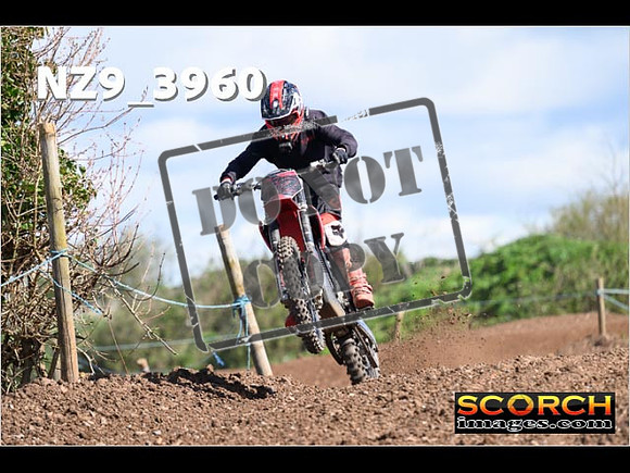 Experts-142