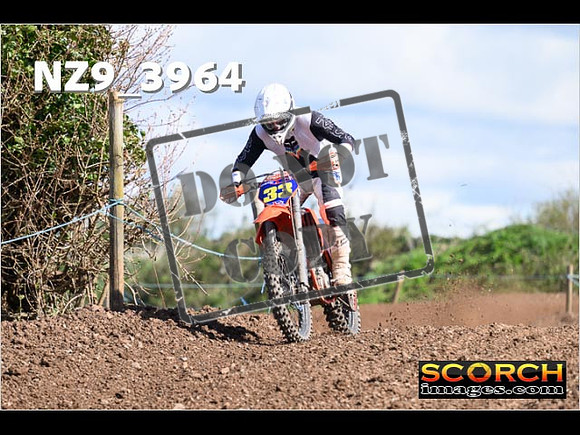 Experts-146