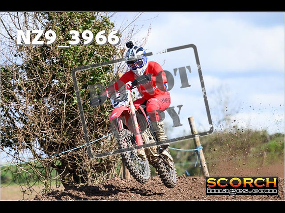 Experts-148