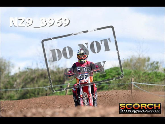 Experts-151
