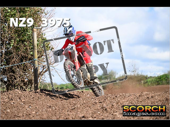 Experts-157