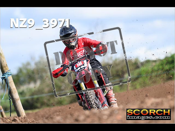 Experts-153