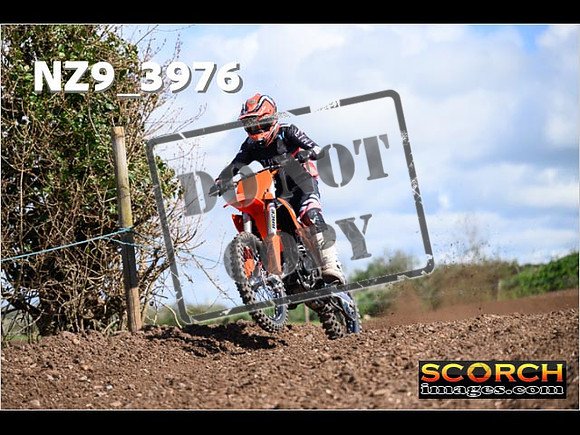 Experts-158