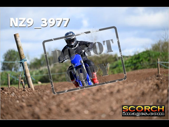 Experts-159