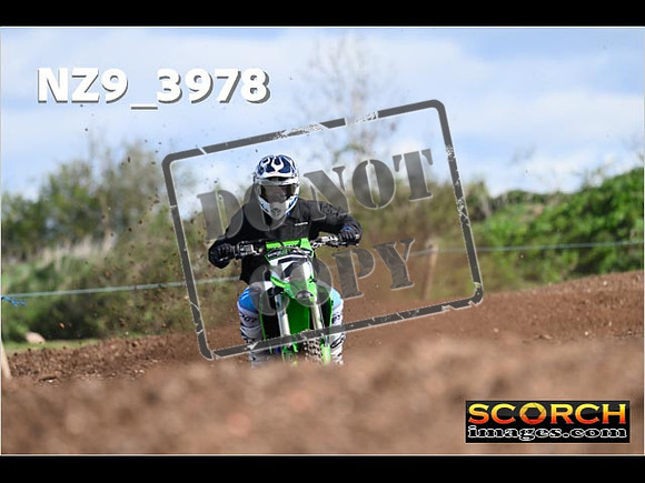 Experts-160