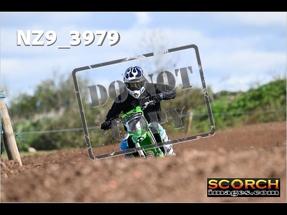 Experts-161