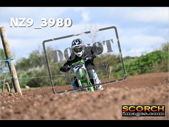 Experts-162