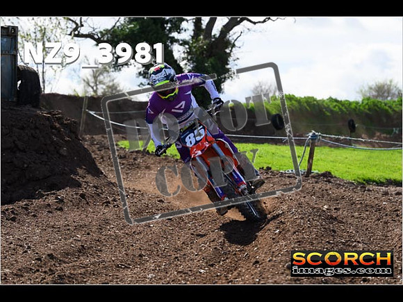 Experts-163