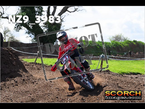 Experts-165