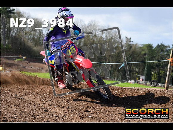 Experts-166