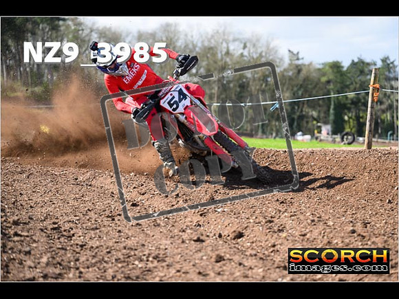 Experts-167
