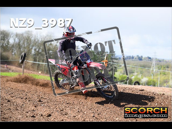 Experts-169