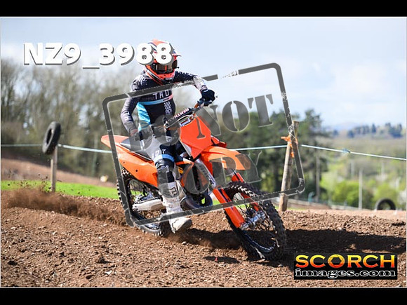 Experts-170