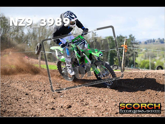 Experts-171