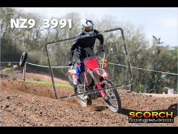 Experts-173