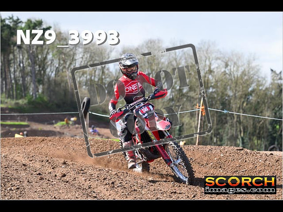 Experts-174