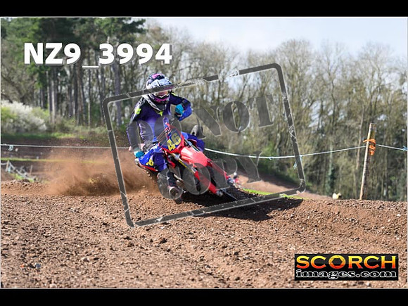 Experts-175