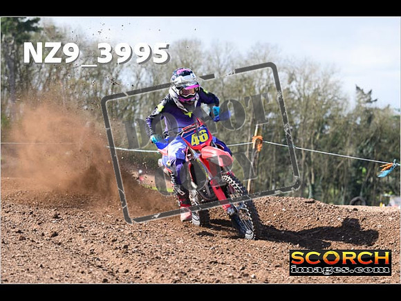 Experts-176