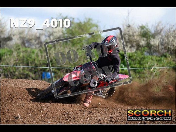 Experts-191