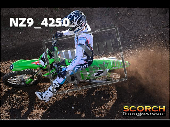 Experts-203