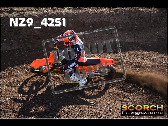 Experts-204
