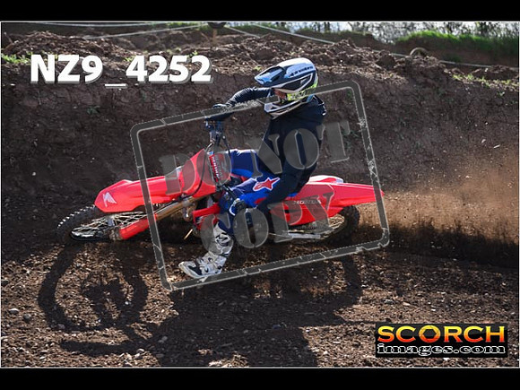 Experts-205