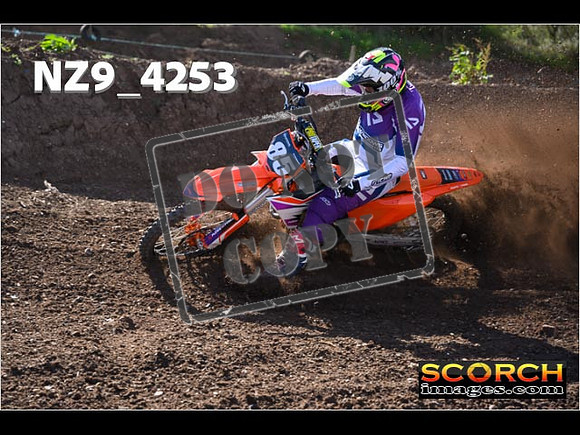 Experts-206