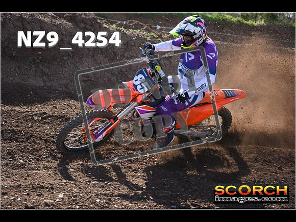 Experts-207