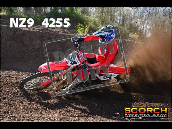 Experts-208