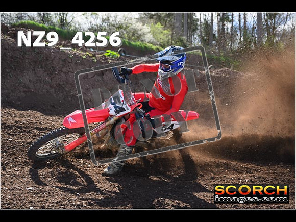 Experts-209