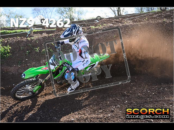 Experts-215