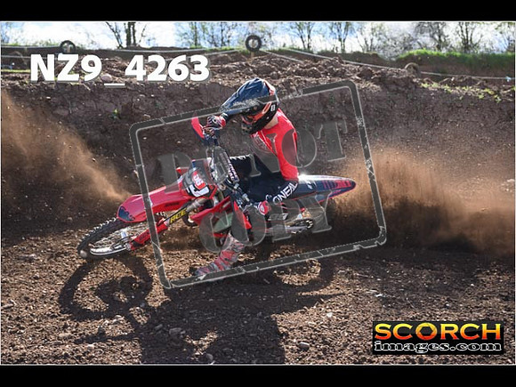 Experts-216