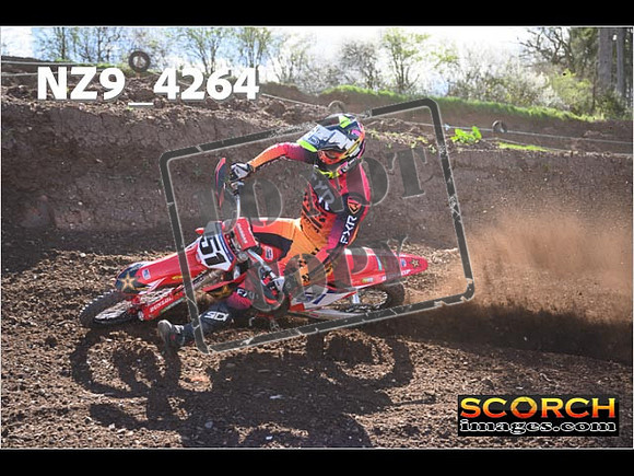 Experts-217