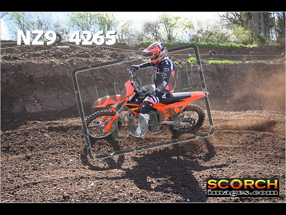 Experts-218