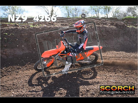 Experts-219