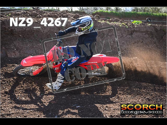 Experts-220