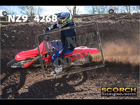 Experts-221