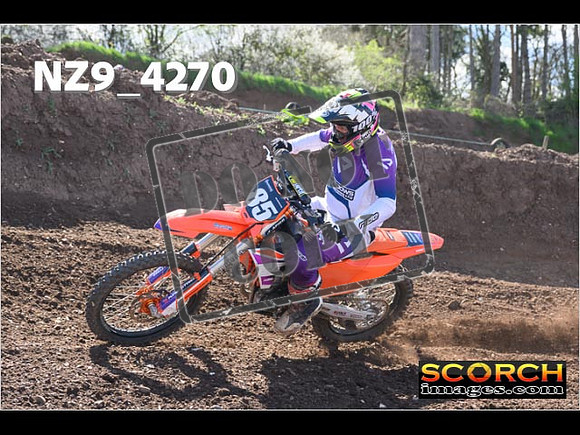 Experts-223