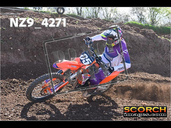 Experts-224