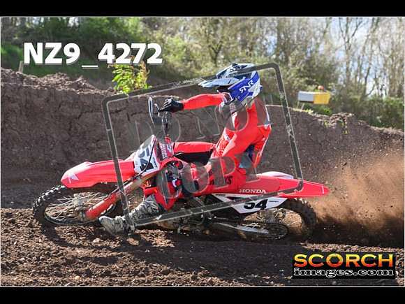 Experts-225