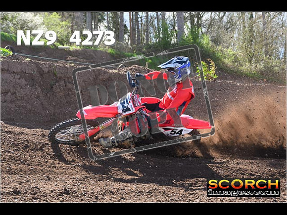 Experts-226