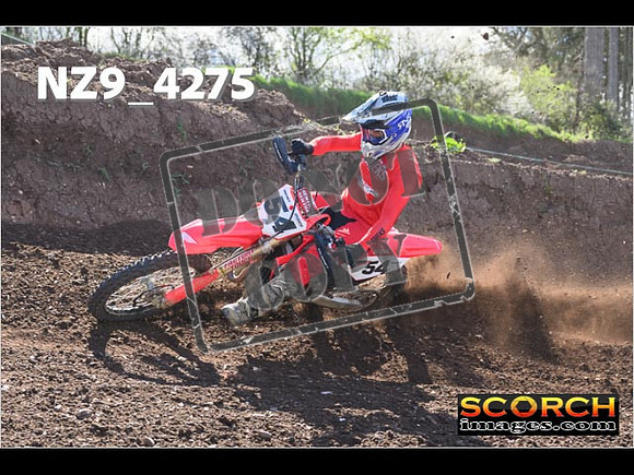 Experts-228