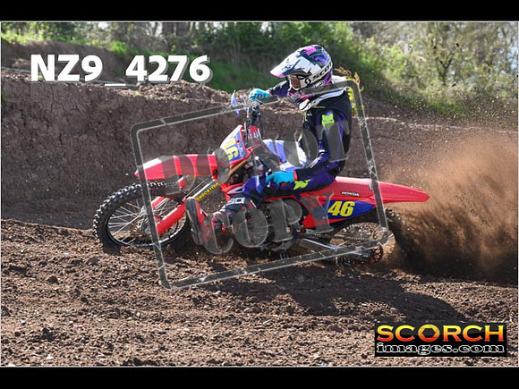 Experts-229
