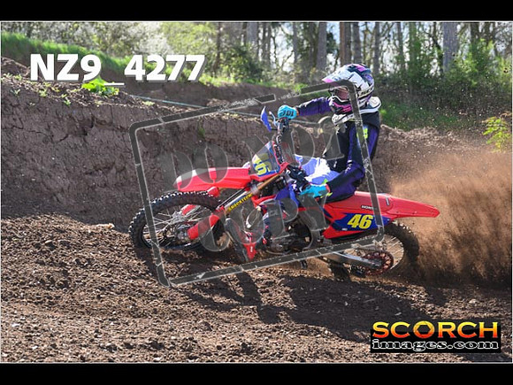 Experts-230