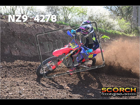Experts-231