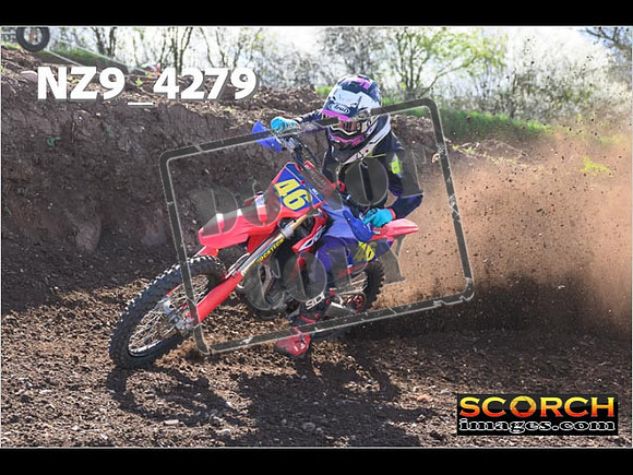 Experts-232