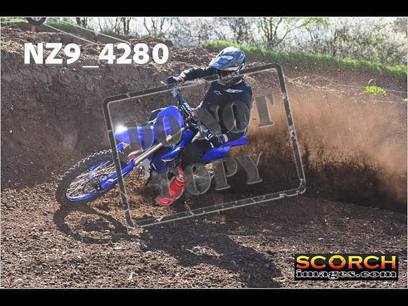 Experts-233