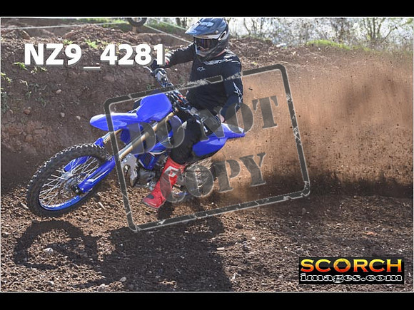 Experts-234