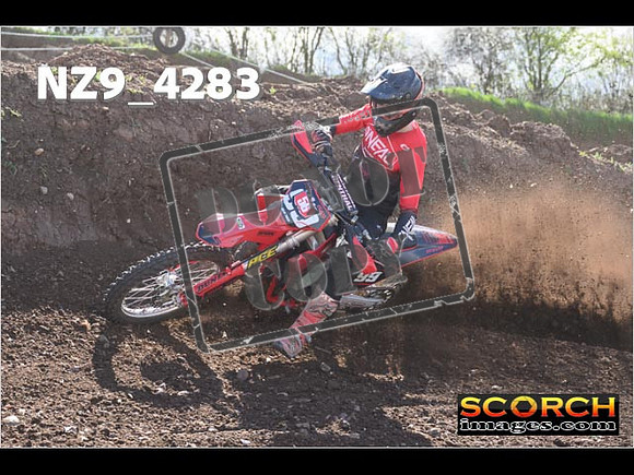 Experts-236